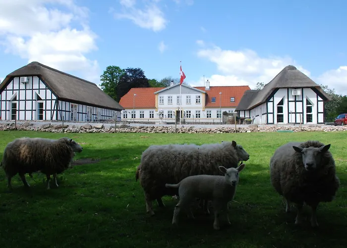 Fogadó Fladbro Randers